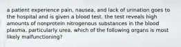 a patient experience pain, nausea, and lack of urination goes to the hospital and is given a blood test. the test reveals high amounts of nonprotein nitrogenous substances in the blood plasma, particularly urea. which of the following organs is most likely malfunctioning?