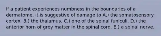 If a patient experiences numbness in the boundaries of a dermatome, it is suggestive of damage to A,) the somatosensory cortex. B.) the thalamus. C.) one of the spinal funiculi. D.) the anterior horn of grey matter in <a href='https://www.questionai.com/knowledge/kkAfzcJHuZ-the-spinal-cord' class='anchor-knowledge'>the spinal cord</a>. E.) a spinal nerve.