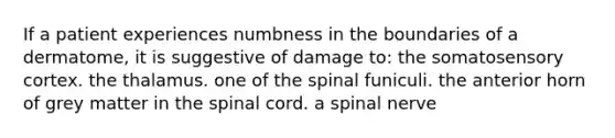 If a patient experiences numbness in the boundaries of a dermatome, it is suggestive of damage to: the somatosensory cortex. the thalamus. one of the spinal funiculi. the anterior horn of grey matter in the spinal cord. a spinal nerve