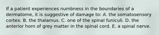 If a patient experiences numbness in the boundaries of a dermatome, it is suggestive of damage to: A. the somatosensory cortex. B. the thalamus. C. one of the spinal funiculi. D. the anterior horn of grey matter in <a href='https://www.questionai.com/knowledge/kkAfzcJHuZ-the-spinal-cord' class='anchor-knowledge'>the spinal cord</a>. E. a spinal nerve.