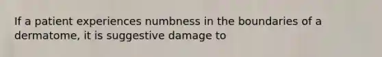 If a patient experiences numbness in the boundaries of a dermatome, it is suggestive damage to