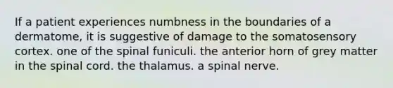 If a patient experiences numbness in the boundaries of a dermatome, it is suggestive of damage to the somatosensory cortex. one of the spinal funiculi. the anterior horn of grey matter in the spinal cord. the thalamus. a spinal nerve.