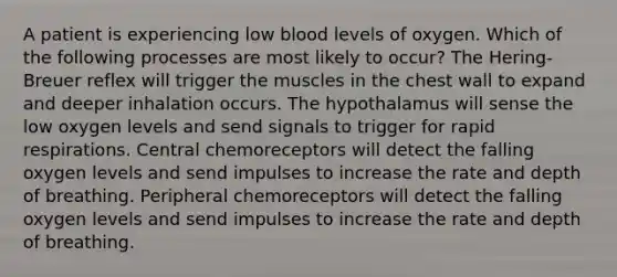 A patient is experiencing low blood levels of oxygen. Which of the following processes are most likely to occur? The Hering-Breuer reflex will trigger the muscles in the chest wall to expand and deeper inhalation occurs. The hypothalamus will sense the low oxygen levels and send signals to trigger for rapid respirations. Central chemoreceptors will detect the falling oxygen levels and send impulses to increase the rate and depth of breathing. Peripheral chemoreceptors will detect the falling oxygen levels and send impulses to increase the rate and depth of breathing.