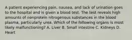 A patient experiencing pain, nausea, and lack of urination goes to the hospital and is given a blood test. The test reveals high amounts of nonprotein nitrogenous substances in the blood plasma, particularly urea. Which of the following organs is most likely malfunctioning? A. Liver B. Small intestine C. Kidneys D. Heart