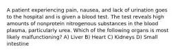 A patient experiencing pain, nausea, and lack of urination goes to the hospital and is given a blood test. The test reveals high amounts of nonprotein nitrogenous substances in the blood plasma, particularly urea. Which of the following organs is most likely malfunctioning? A) Liver B) Heart C) Kidneys D) Small intestine