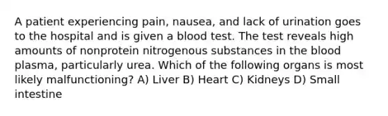 A patient experiencing pain, nausea, and lack of urination goes to the hospital and is given a blood test. The test reveals high amounts of nonprotein nitrogenous substances in the blood plasma, particularly urea. Which of the following organs is most likely malfunctioning? A) Liver B) Heart C) Kidneys D) Small intestine