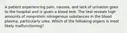 A patient experiencing pain, nausea, and lack of urination goes to the hospital and is given a blood test. The test reveals high amounts of nonprotein nitrogenous substances in the blood plasma, particularly urea. Which of the following organs is most likely malfunctioning?