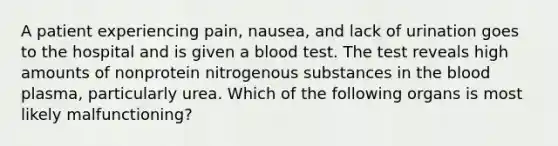 A patient experiencing pain, nausea, and lack of urination goes to the hospital and is given a blood test. The test reveals high amounts of nonprotein nitrogenous substances in the blood plasma, particularly urea. Which of the following organs is most likely malfunctioning?