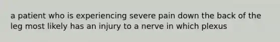 a patient who is experiencing severe pain down the back of the leg most likely has an injury to a nerve in which plexus