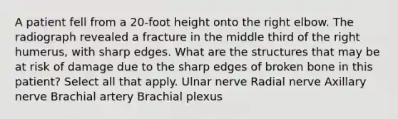 A patient fell from a 20-foot height onto the right elbow. The radiograph revealed a fracture in the middle third of the right humerus, with sharp edges. What are the structures that may be at risk of damage due to the sharp edges of broken bone in this patient? Select all that apply. Ulnar nerve Radial nerve Axillary nerve Brachial artery Brachial plexus