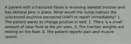 A patient with a fractured fibula is receiving skeletal traction and has skeletal pins in place. What would the nurse instruct the unlicensed assistive personnel (UAP) to report immediately? 1. The patient wants to change position in bed. 2. There is a small amount of clear fluid at the pin sites. 3. The traction weights are resting on the floor. 4. The patient reports pain and muscle spasm.