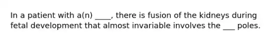 In a patient with a(n) ____, there is fusion of the kidneys during fetal development that almost invariable involves the ___ poles.