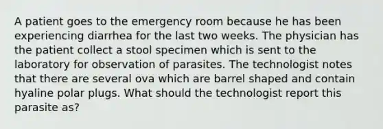 A patient goes to the emergency room because he has been experiencing diarrhea for the last two weeks. The physician has the patient collect a stool specimen which is sent to the laboratory for observation of parasites. The technologist notes that there are several ova which are barrel shaped and contain hyaline polar plugs. What should the technologist report this parasite as?