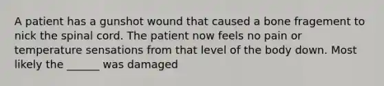 A patient has a gunshot wound that caused a bone fragement to nick the spinal cord. The patient now feels no pain or temperature sensations from that level of the body down. Most likely the ______ was damaged