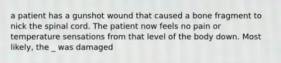 a patient has a gunshot wound that caused a bone fragment to nick <a href='https://www.questionai.com/knowledge/kkAfzcJHuZ-the-spinal-cord' class='anchor-knowledge'>the spinal cord</a>. The patient now feels no pain or temperature sensations from that level of the body down. Most likely, the _ was damaged