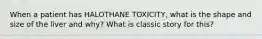 When a patient has HALOTHANE TOXICITY, what is the shape and size of the liver and why? What is classic story for this?