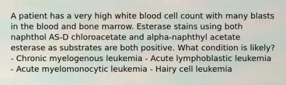 A patient has a very high white blood cell count with many blasts in the blood and bone marrow. Esterase stains using both naphthol AS-D chloroacetate and alpha-naphthyl acetate esterase as substrates are both positive. What condition is likely? - Chronic myelogenous leukemia - Acute lymphoblastic leukemia - Acute myelomonocytic leukemia - Hairy cell leukemia