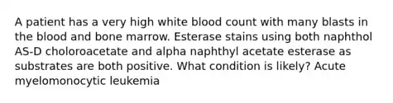 A patient has a very high white blood count with many blasts in <a href='https://www.questionai.com/knowledge/k7oXMfj7lk-the-blood' class='anchor-knowledge'>the blood</a> and bone marrow. Esterase stains using both naphthol AS-D choloroacetate and alpha naphthyl acetate esterase as substrates are both positive. What condition is likely? Acute myelomonocytic leukemia