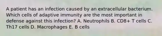 A patient has an infection caused by an extracellular bacterium. Which cells of adaptive immunity are the most important in defense against this infection? A. Neutrophils B. CD8+ T cells C. Th17 cells D. Macrophages E. B cells