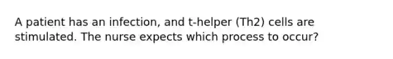 A patient has an infection, and t-helper (Th2) cells are stimulated. The nurse expects which process to occur?