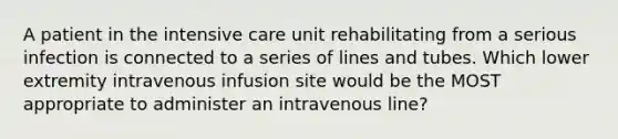 A patient in the intensive care unit rehabilitating from a serious infection is connected to a series of lines and tubes. Which lower extremity intravenous infusion site would be the MOST appropriate to administer an intravenous line?