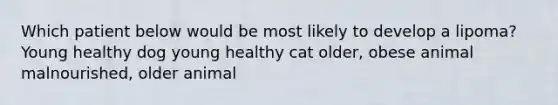 Which patient below would be most likely to develop a lipoma? Young healthy dog young healthy cat older, obese animal malnourished, older animal