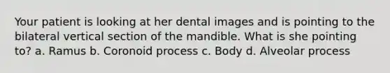 Your patient is looking at her dental images and is pointing to the bilateral vertical section of the mandible. What is she pointing to? a. Ramus b. Coronoid process c. Body d. Alveolar process