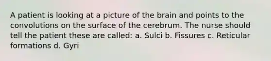 A patient is looking at a picture of the brain and points to the convolutions on the surface of the cerebrum. The nurse should tell the patient these are called: a. Sulci b. Fissures c. Reticular formations d. Gyri