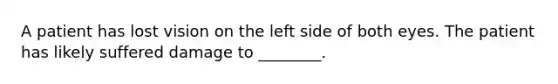 A patient has lost vision on the left side of both eyes. The patient has likely suffered damage to ________.