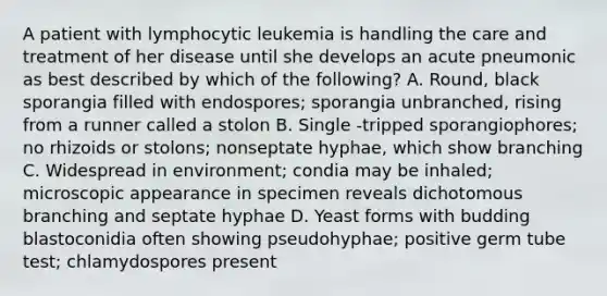 A patient with lymphocytic leukemia is handling the care and treatment of her disease until she develops an acute pneumonic as best described by which of the following? A. Round, black sporangia filled with endospores; sporangia unbranched, rising from a runner called a stolon B. Single -tripped sporangiophores; no rhizoids or stolons; nonseptate hyphae, which show branching C. Widespread in environment; condia may be inhaled; microscopic appearance in specimen reveals dichotomous branching and septate hyphae D. Yeast forms with budding blastoconidia often showing pseudohyphae; positive germ tube test; chlamydospores present