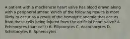 A patient with a mechanical heart valve has blood drawn along with a peripheral smear. Which of the following results is most likely to occur as a result of the hemolytic anemia that occurs from these cells being injured from the artificial heart valve? A. Echinocytes (burr cells) B. Elliptocytes C. Acanthocytes D. Schistocytes E. Spherocytes