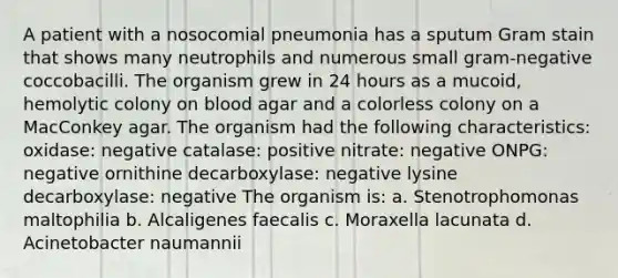 A patient with a nosocomial pneumonia has a sputum Gram stain that shows many neutrophils and numerous small gram-negative coccobacilli. The organism grew in 24 hours as a mucoid, hemolytic colony on blood agar and a colorless colony on a MacConkey agar. The organism had the following characteristics: oxidase: negative catalase: positive nitrate: negative ONPG: negative ornithine decarboxylase: negative lysine decarboxylase: negative The organism is: a. Stenotrophomonas maltophilia b. Alcaligenes faecalis c. Moraxella lacunata d. Acinetobacter naumannii