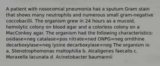 A patient with nosocomial pneumonia has a sputum Gram stain that shows many neutrophils and numerous small gram-negative coccobacilli. The organism grew in 24 hours as a mucoid, hemolytic colony on blood agar and a colorless colony on a MacConkey agar. The organism had the following characteristics: oxidase=neg catalase=pos nitrate=ned ONPG=neg ornithine decarboxylase=neg lysine decarboxylase=neg The organism is: a. Stenotrophomonas maltophilia b. Alcaligenes faecalis c. Moraxella lacunata d. Acinetobacter baumannii