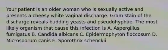 Your patient is an older woman who is sexually active and presents a cheesy white vaginal discharge. Gram stain of the discharge reveals budding yeasts and pseudohyphae. The most likely organism that cause this infection is A. Aspergillus fumigatus B. Candida albicans C. Epidermophyton floccosum D. Microsporum canis E. Sporothrix schenckii