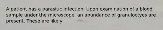 A patient has a parasitic infection. Upon examination of a blood sample under the microscope, an abundance of granuloctyes are present. These are likely