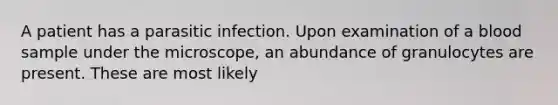 A patient has a parasitic infection. Upon examination of a blood sample under the microscope, an abundance of granulocytes are present. These are most likely