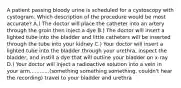 A patient passing bloody urine is scheduled for a cystoscopy with cystogram. Which description of the procedure would be most accurate? A.) The doctor will place the catheter into an artery through the groin then inject a dye B.) The doctor will insert a lighted tube into the bladder and little catheters will be inserted through the tube into your kidney C.) Your doctor will insert a lighted tube into the bladder through your urethra, inspect the bladder, and instill a dye that will outline your bladder on x-ray D.) Your doctor will inject a radioactive solution into a vein in your arm............(something something something, couldn't hear the recording) travel to your bladder and urethra