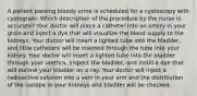 A patient passing bloody urine is scheduled for a cystoscopy with cystogram. Which description of the procedure by the nurse is accurate? Your doctor will place a catheter into an artery in your groin and inject a dye that will visualize the blood supply to the kidneys. Your doctor will insert a lighted tube into the bladder, and little catheters will be inserted through the tube into your kidney. Your doctor will insert a lighted tube into the bladder through your urethra, inspect the bladder, and instill a dye that will outline your bladder on x-ray. Your doctor will inject a radioactive solution into a vein in your arm and the distribution of the isotope in your kidneys and bladder will be checked.