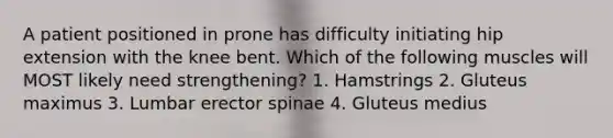 A patient positioned in prone has difficulty initiating hip extension with the knee bent. Which of the following muscles will MOST likely need strengthening? 1. Hamstrings 2. Gluteus maximus 3. Lumbar erector spinae 4. Gluteus medius