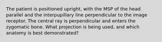 The patient is positioned upright, with the MSP of the head parallel and the interpupillary line perpendicular to the image receptor. The central ray is perpendicular and enters the zygomatic bone. What projection is being used, and which anatomy is best demonstrated?