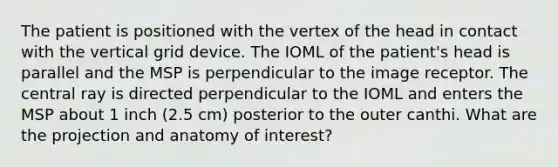 The patient is positioned with the vertex of the head in contact with the vertical grid device. The IOML of the patient's head is parallel and the MSP is perpendicular to the image receptor. The central ray is directed perpendicular to the IOML and enters the MSP about 1 inch (2.5 cm) posterior to the outer canthi. What are the projection and anatomy of interest?