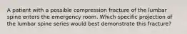 A patient with a possible compression fracture of the lumbar spine enters the emergency room. Which specific projection of the lumbar spine series would best demonstrate this fracture?