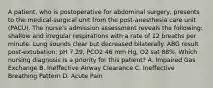 A patient, who is postoperative for abdominal surgery, presents to the medical-surgical unit from the post-anesthesia care unit (PACU). The nurse's admission assessment reveals the following: shallow and irregular respirations with a rate of 12 breaths per minute. Lung sounds clear but decreased bilaterally. ABG result post-extubation: pH 7.29, PCO2 46 mm Hg, O2 sat 88%. Which nursing diagnosis is a priority for this patient? A. Impaired Gas Exchange B. Ineffective Airway Clearance C. Ineffective Breathing Pattern D. Acute Pain