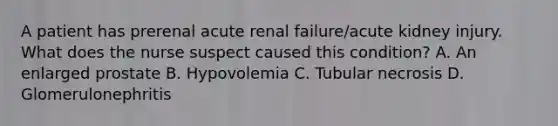 A patient has prerenal acute renal failure/acute kidney injury. What does the nurse suspect caused this condition? A. An enlarged prostate B. Hypovolemia C. Tubular necrosis D. Glomerulonephritis