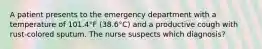 A patient presents to the emergency department with a temperature of 101.4°F (38.6°C) and a productive cough with rust-colored sputum. The nurse suspects which diagnosis?