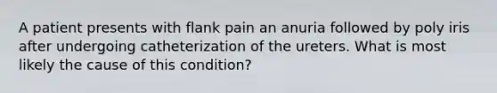 A patient presents with flank pain an anuria followed by poly iris after undergoing catheterization of the ureters. What is most likely the cause of this condition?