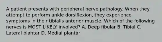 A patient presents with peripheral nerve pathology. When they attempt to perform ankle dorsiflexion, they experience symptoms in their tibialis anterior muscle. Which of the following nerves is MOST LIKELY involved? A. Deep fibular B. Tibial C. Lateral plantar D. Medial plantar