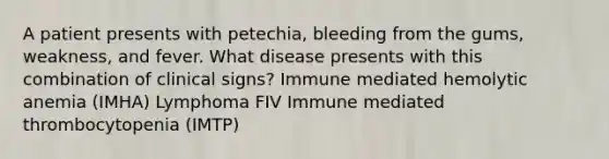 A patient presents with petechia, bleeding from the gums, weakness, and fever. What disease presents with this combination of clinical signs? Immune mediated hemolytic anemia (IMHA) Lymphoma FIV Immune mediated thrombocytopenia (IMTP)