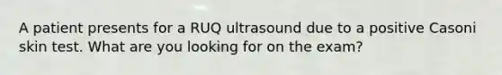 A patient presents for a RUQ ultrasound due to a positive Casoni skin test. What are you looking for on the exam?