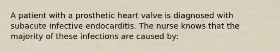 A patient with a prosthetic heart valve is diagnosed with subacute infective endocarditis. The nurse knows that the majority of these infections are caused by: